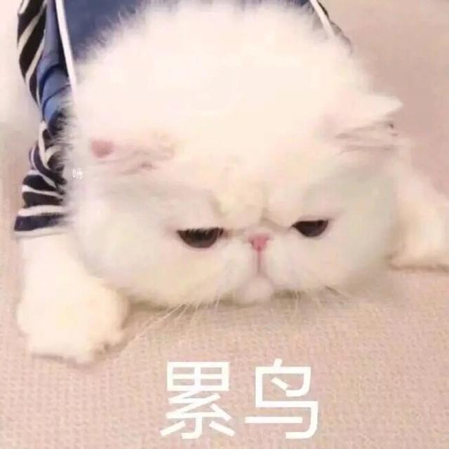 复杂到令人头秃的双十一,谁才是赢家?